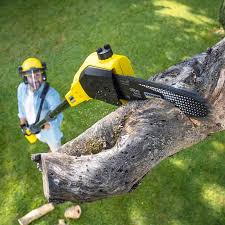 Best Lawn Watering Services  in Prairie Ridge, WA